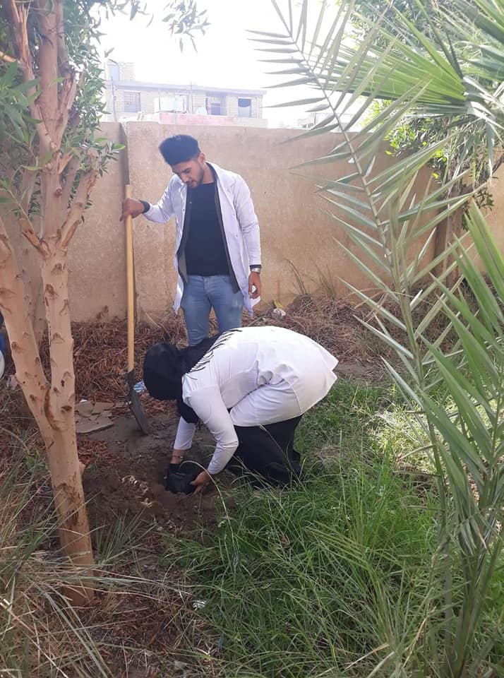 كلية الزراعة تباشر حملة تشجير واسعه لمدارس متنوعة في محافظة المثنى